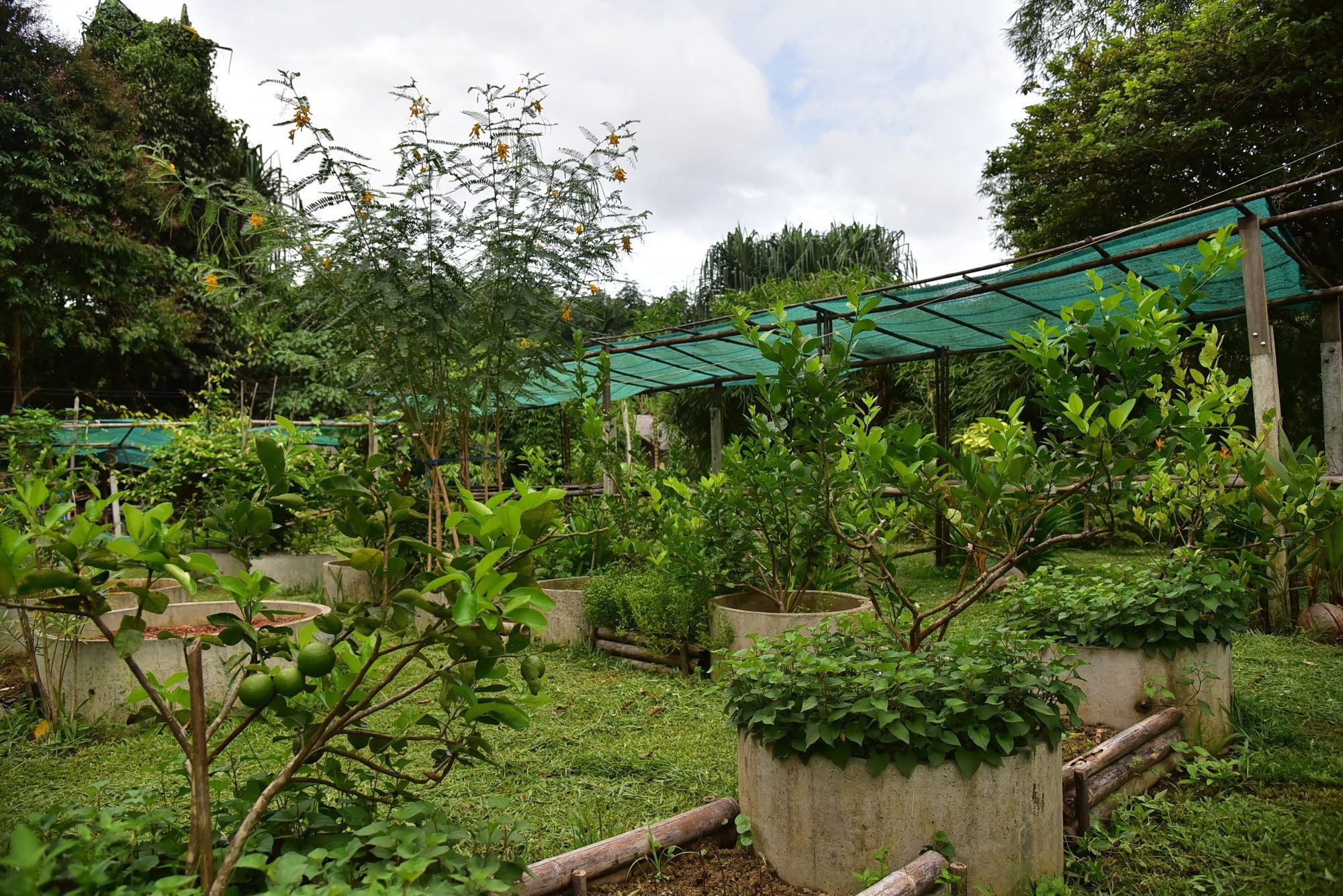 Khao Sok Homestay Resort Khao Sok National Park Exterior foto