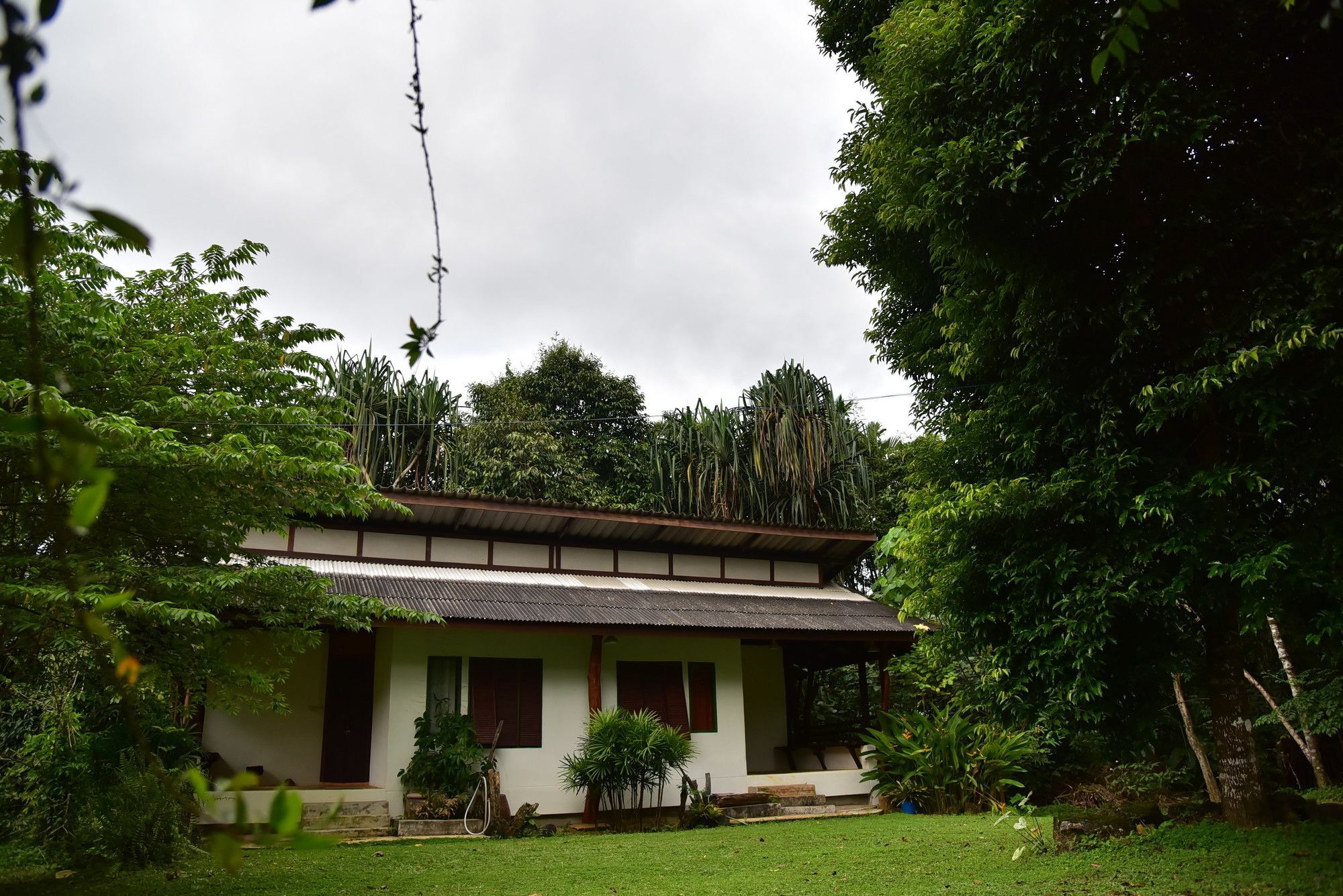 Khao Sok Homestay Resort Khao Sok National Park Exterior foto