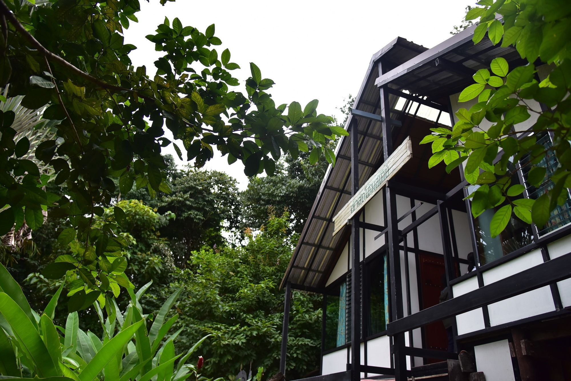 Khao Sok Homestay Resort Khao Sok National Park Exterior foto