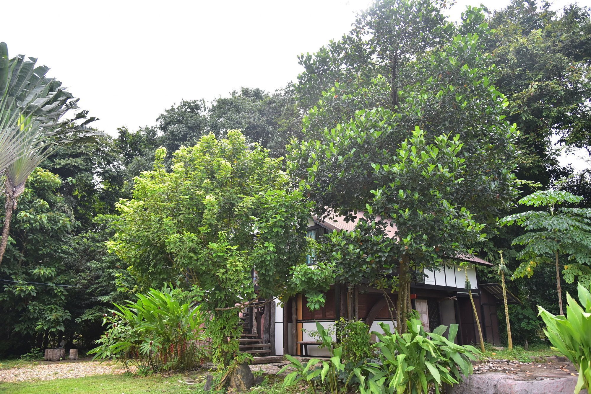 Khao Sok Homestay Resort Khao Sok National Park Exterior foto