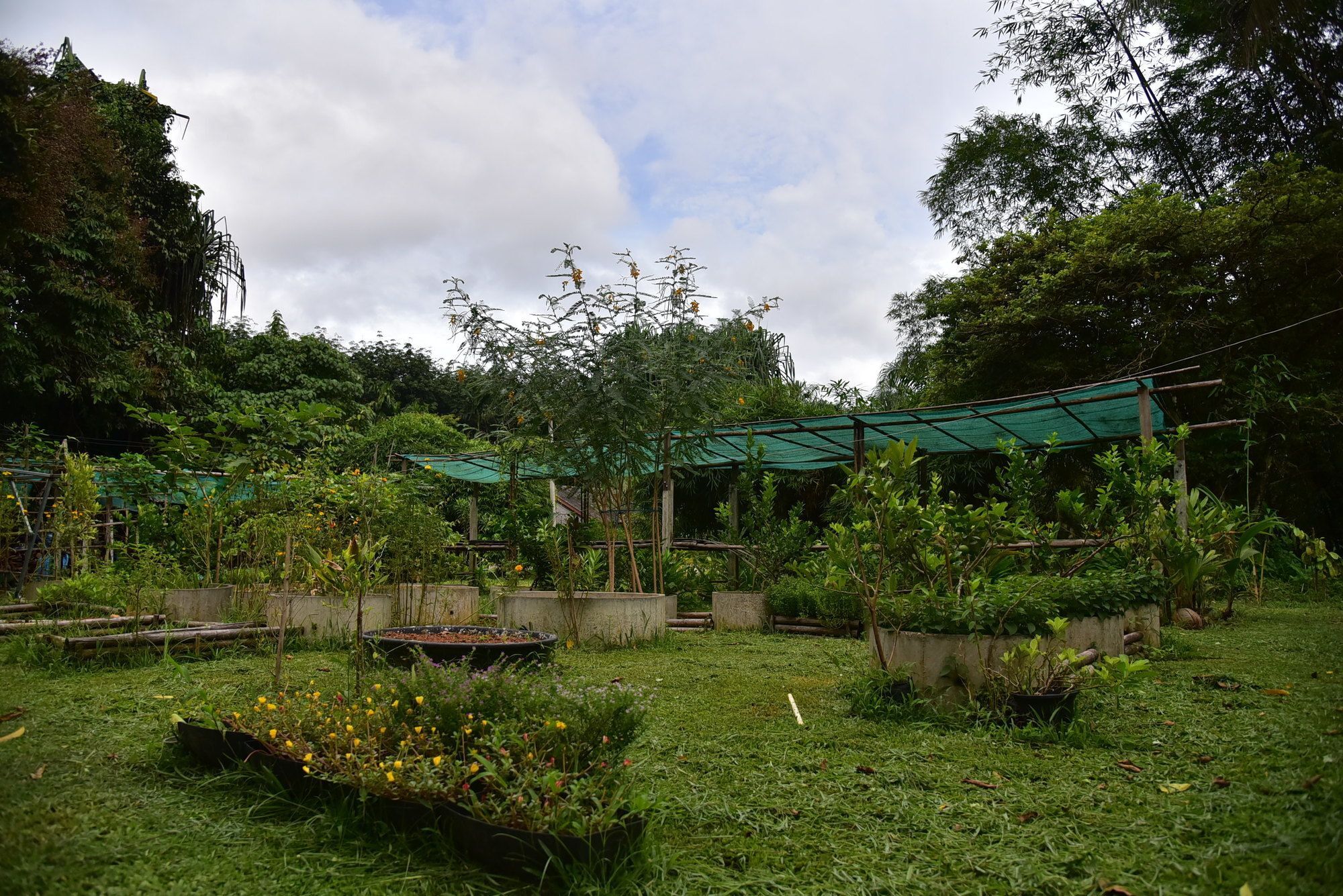 Khao Sok Homestay Resort Khao Sok National Park Exterior foto